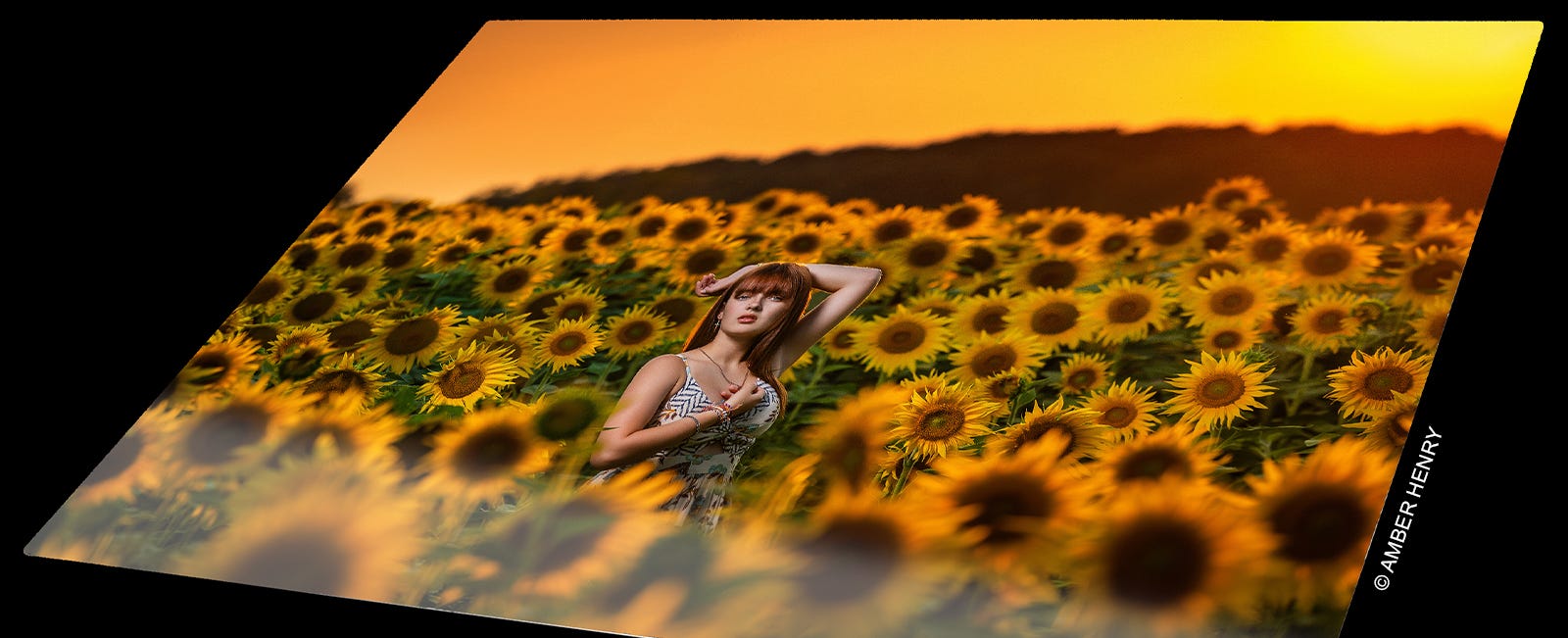 metal-prints-professional-photographers
